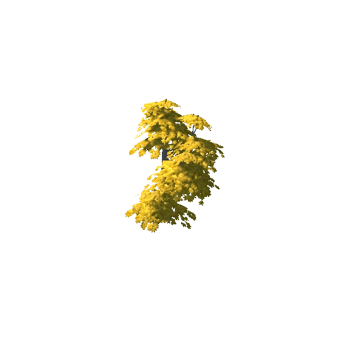 Maple Tree Yellow Big 02